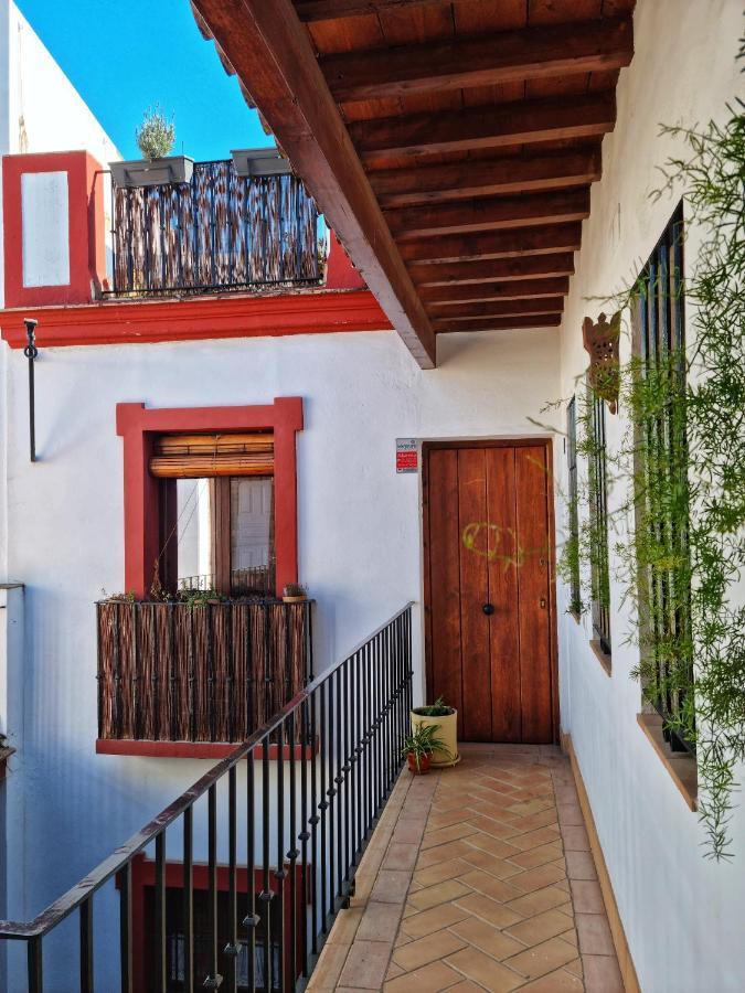 Loft & Private Rooftop With Bbq Sevilla Dış mekan fotoğraf