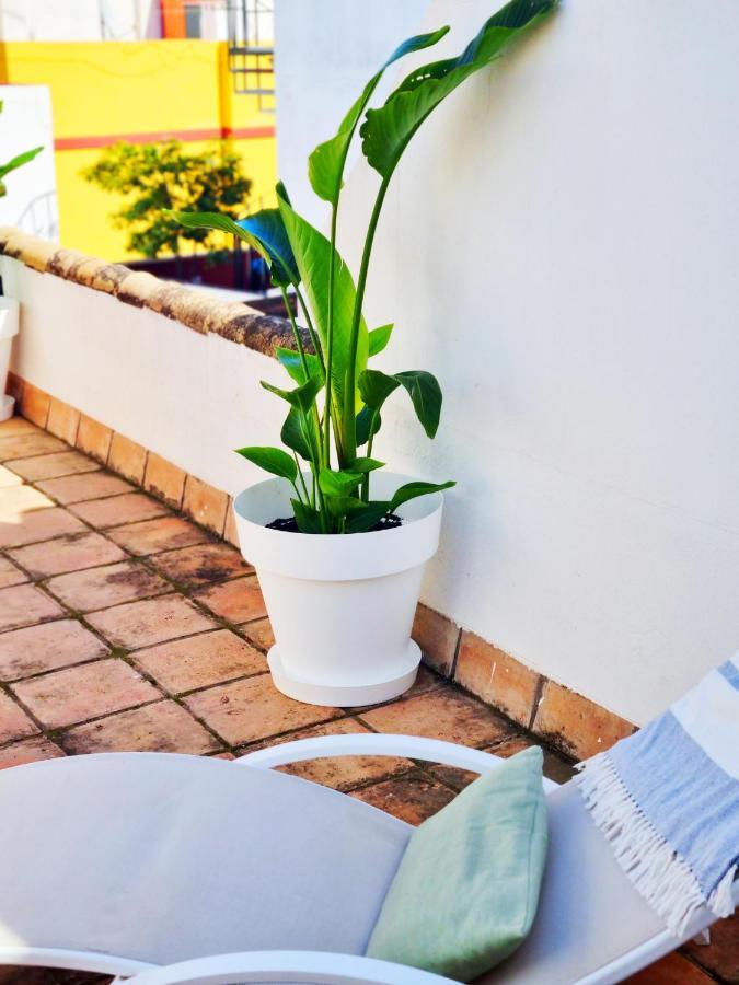 Loft & Private Rooftop With Bbq Sevilla Dış mekan fotoğraf